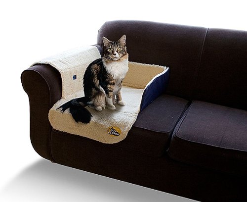 09-300_sofa_loafer_small_with_cat